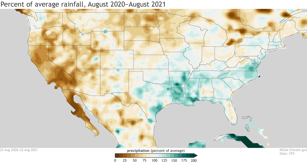 Percent of average rainfall across the United States from AUgust 2020 to August 2021