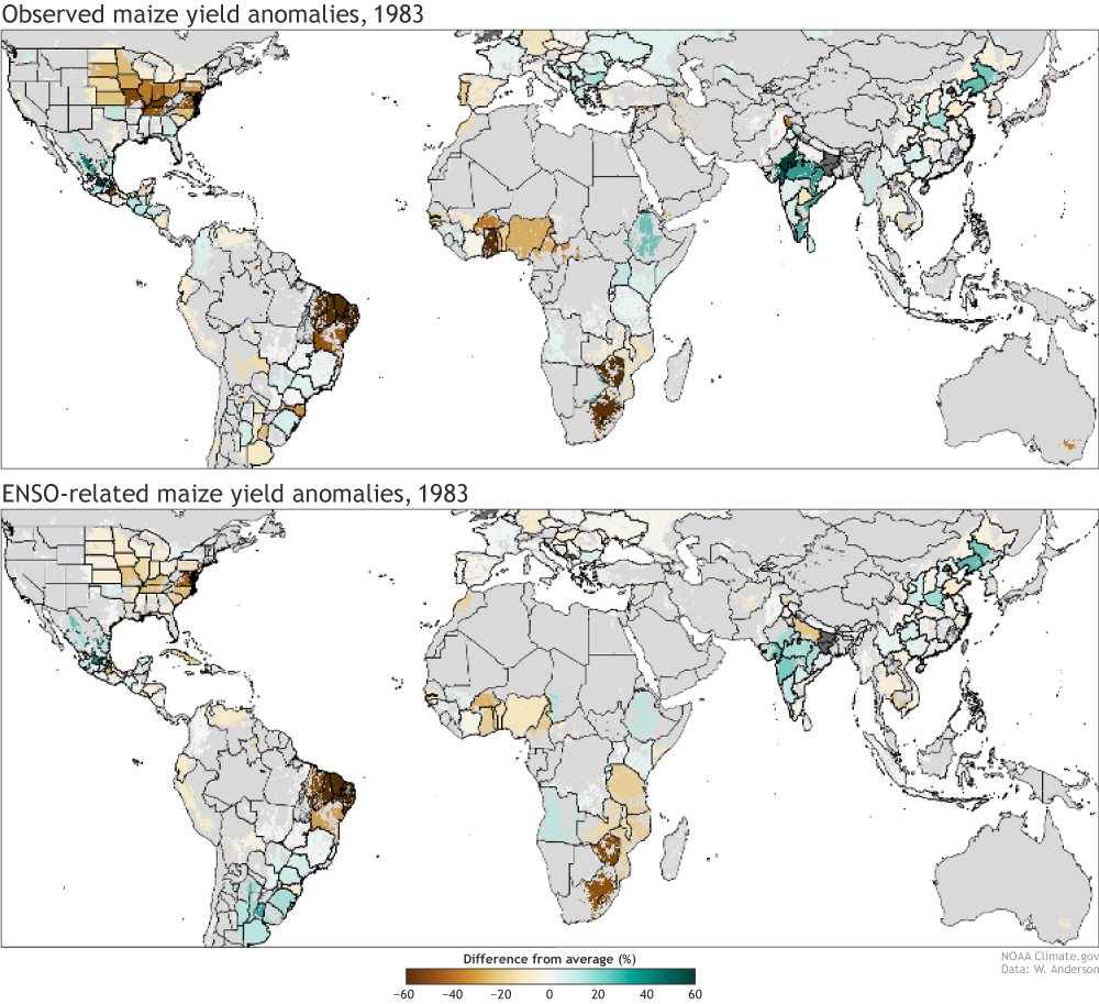 Pair of maps showing maize crop anomalies in 1983 and how much of the anomaly was likely due to El Niño