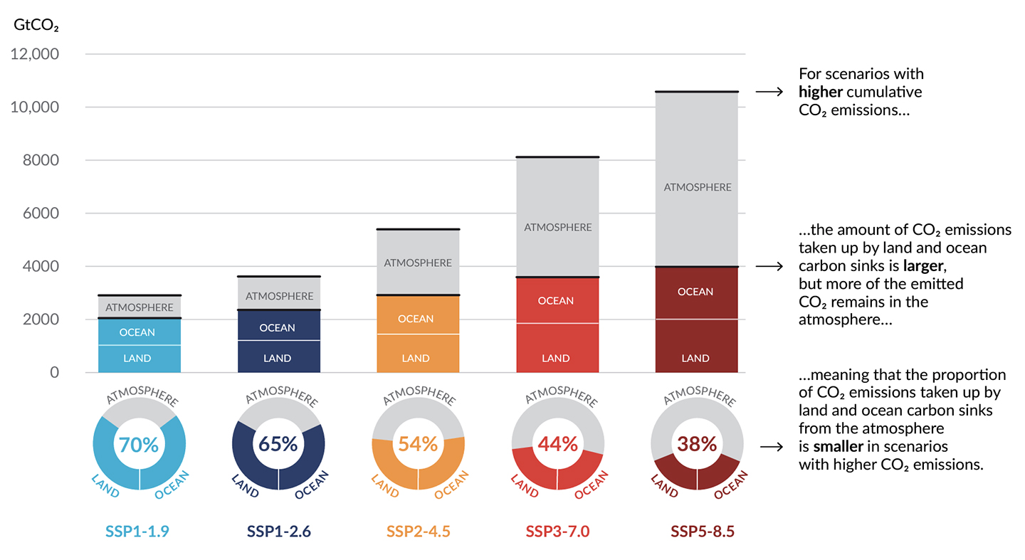 An informative graphic displaying the projected cumulative land and ocean CO2 uptake