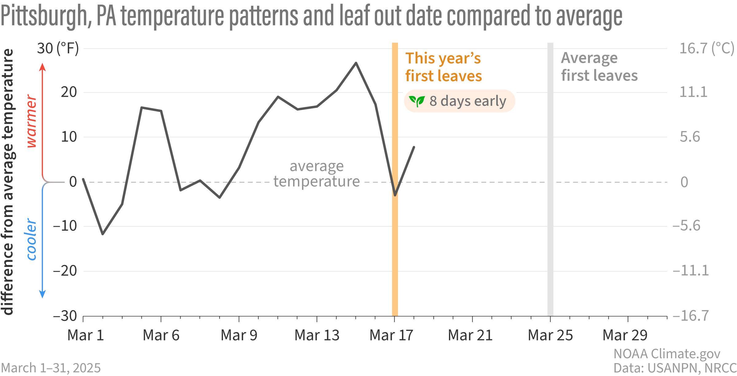 Line graph showing how much cooler or warmer than average it was in Pittsburgh, PA in March 2025