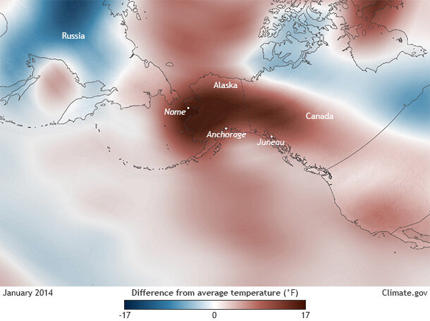 Temperture anomaly map January 2014 North Pacific Alaska