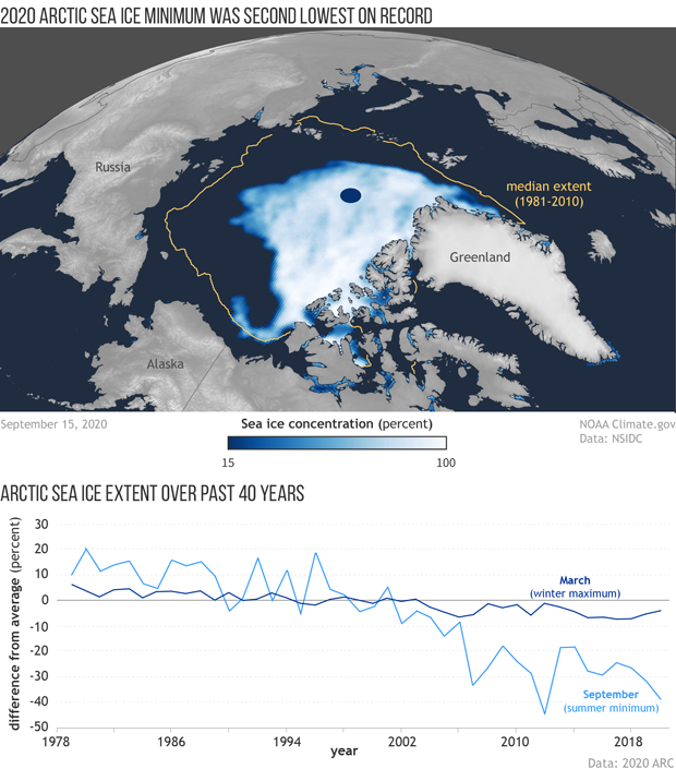 Arctic sea ice in 2020