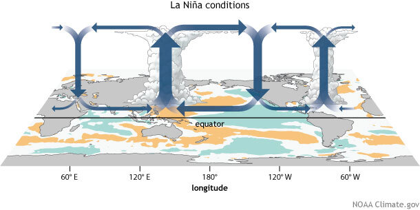 Walker Circulation La Nina conditions