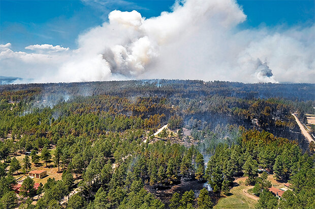 Oblique view of forested land with wildfire smoke above it