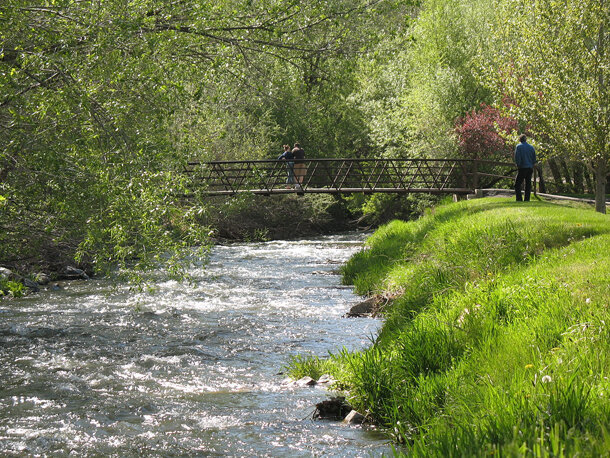 people standing on a pedestrian bridge overlooking a tree-lined creek