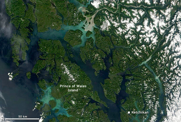 Southeast Alaska on July 20, 2018. Between the sea and the snow-capped mountains to the east, the area is blanketed by lush temperate rainforests. NASA MODIS image from Worldview.