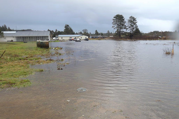 Standing water over a large field 