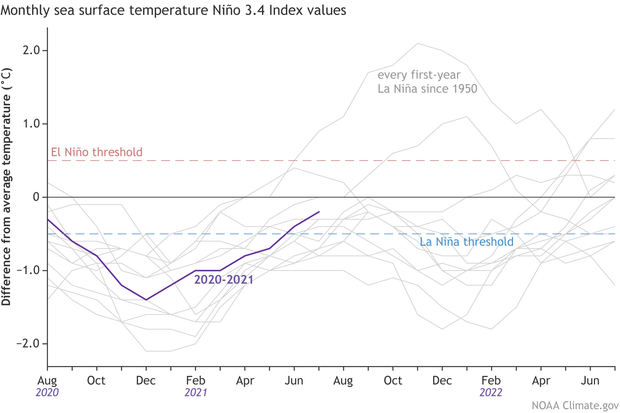 Line graph showing evolution tropical Pacific ocean temperatures following each first-year la Niña since 1950
