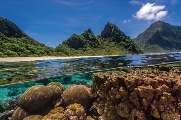 Pacific storybook cover image