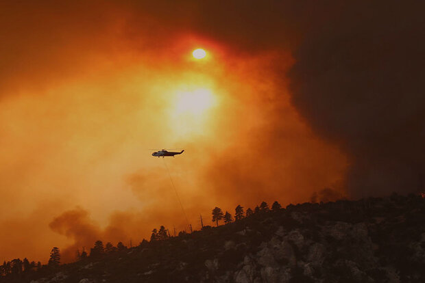 Bobcat Wildfire