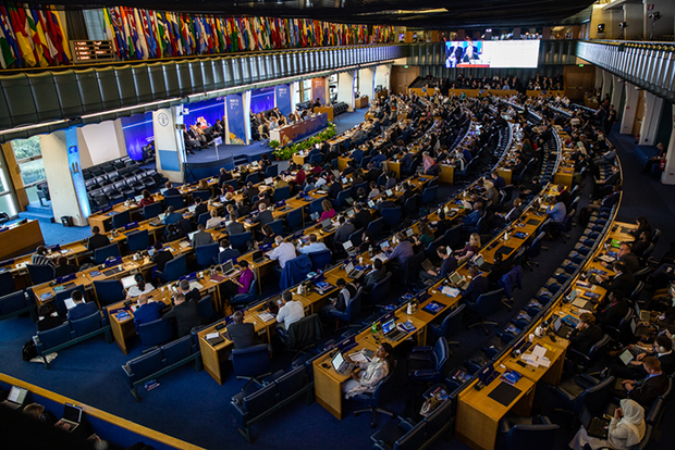 MOP 31 participants