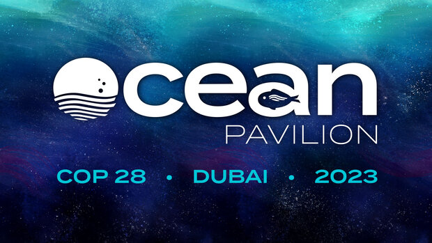underwater photo with logo