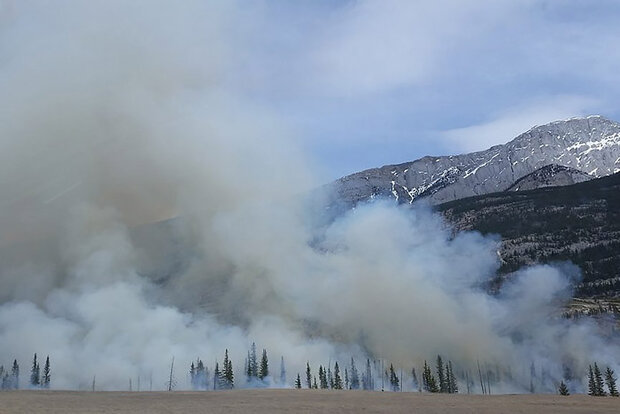 Wildfire smoke