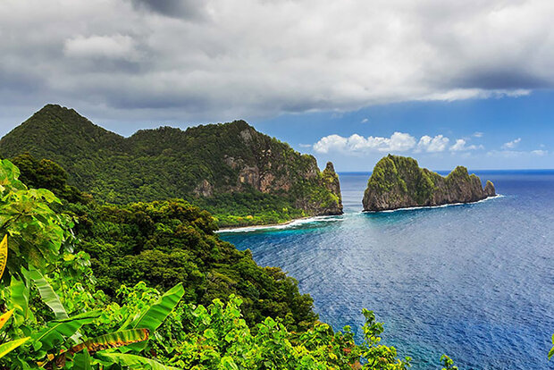Island scene with vegetation