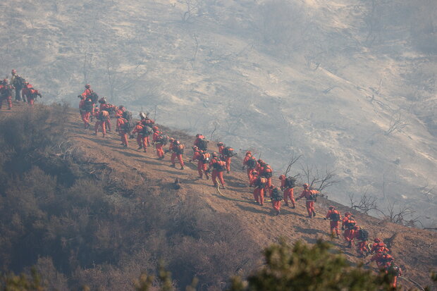 a line of firefighters on a hill between burned and unburned vegetation 