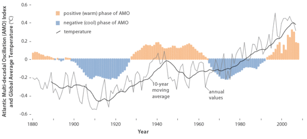 Temperature compared to AMO index