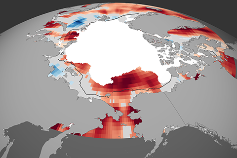 Sea surface temperature trend map