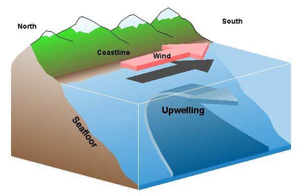 Upwelling diagram