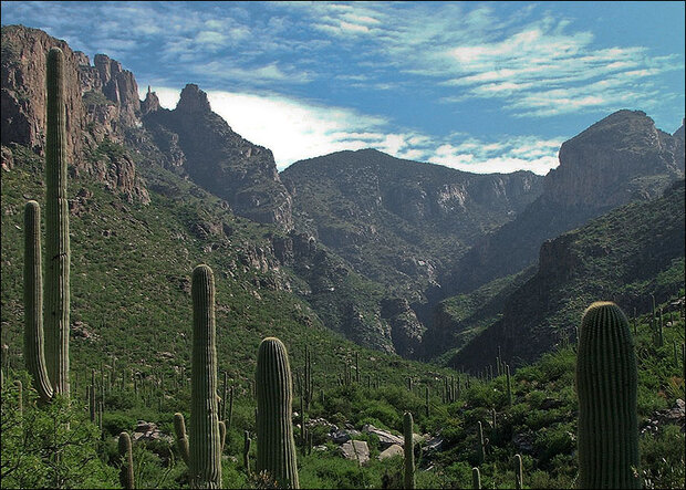 Photo of Finger Rock Canyon