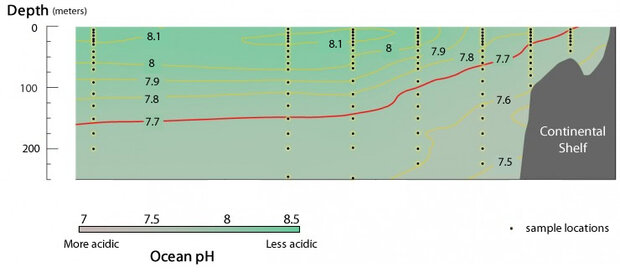 pH transect