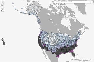 Thumbnail image for Tools & Interactives - Historic date of first snow