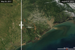 Thumbnail image for Tools & Interactives - Hurricane Harvey flooding