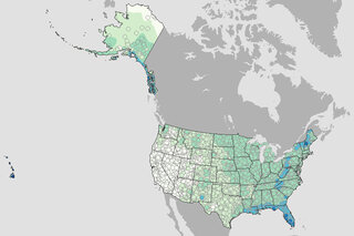 Thumbnail image for Tools & Interactives - Rain on the Fourth of July