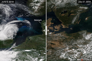 Thumbnail image for Tools & Interactives - Summer drought in Europe 2018