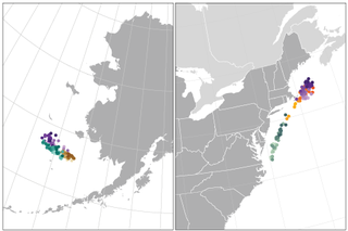 Map image for In search of cooler waters, marine species are shifting northward or diving deeper
