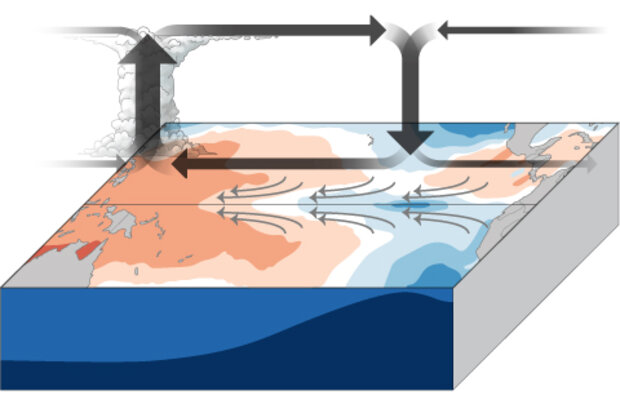 ENSO diagram