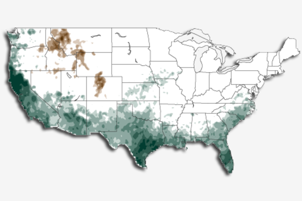 Precipitation map